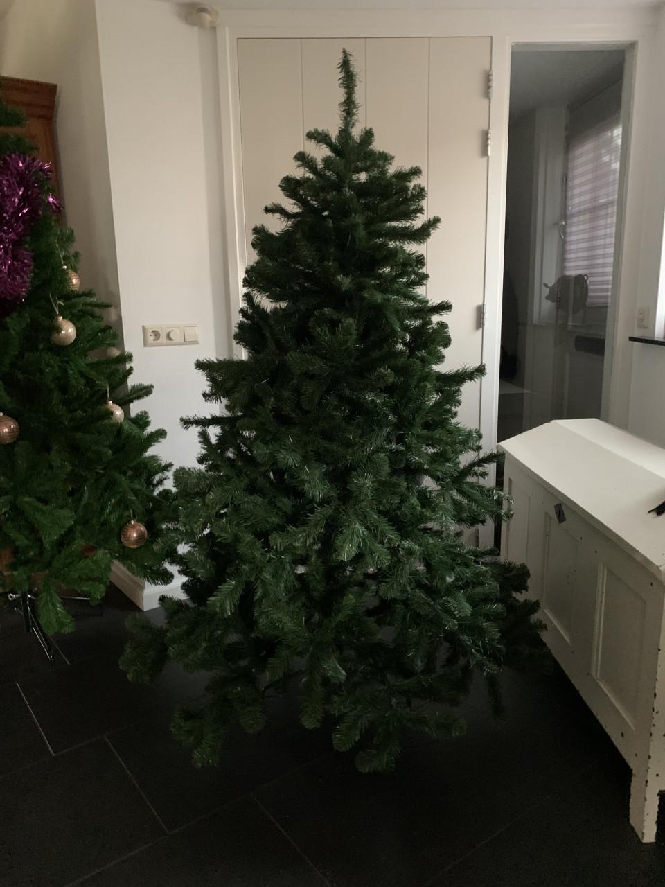 Kerstboom 175. triumph tree