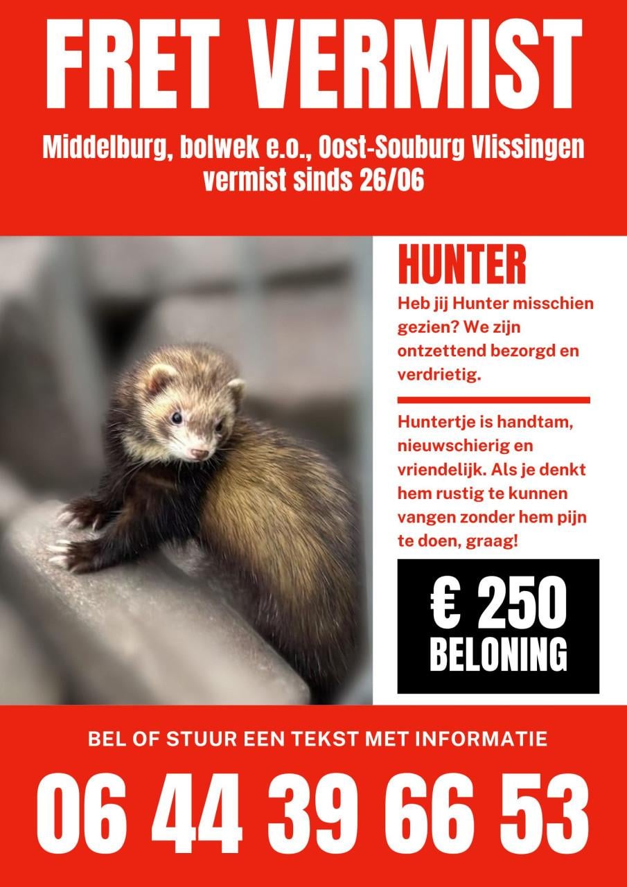 FRET VERMIST!! Beloning €250,-
