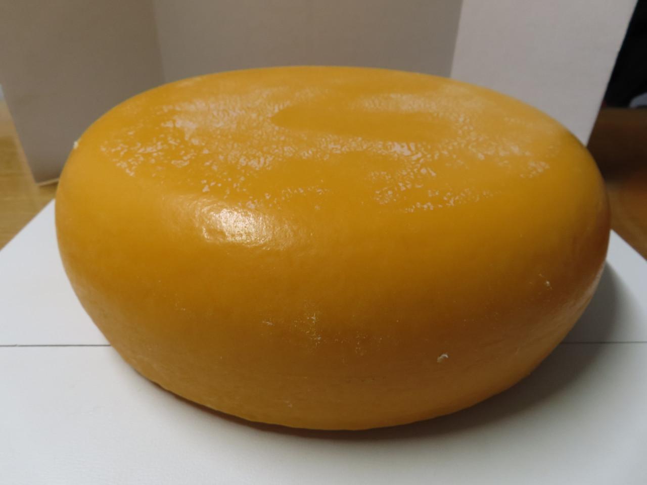 Plastic kazen Per stuk €.15,00 Doorsnee 32 cm