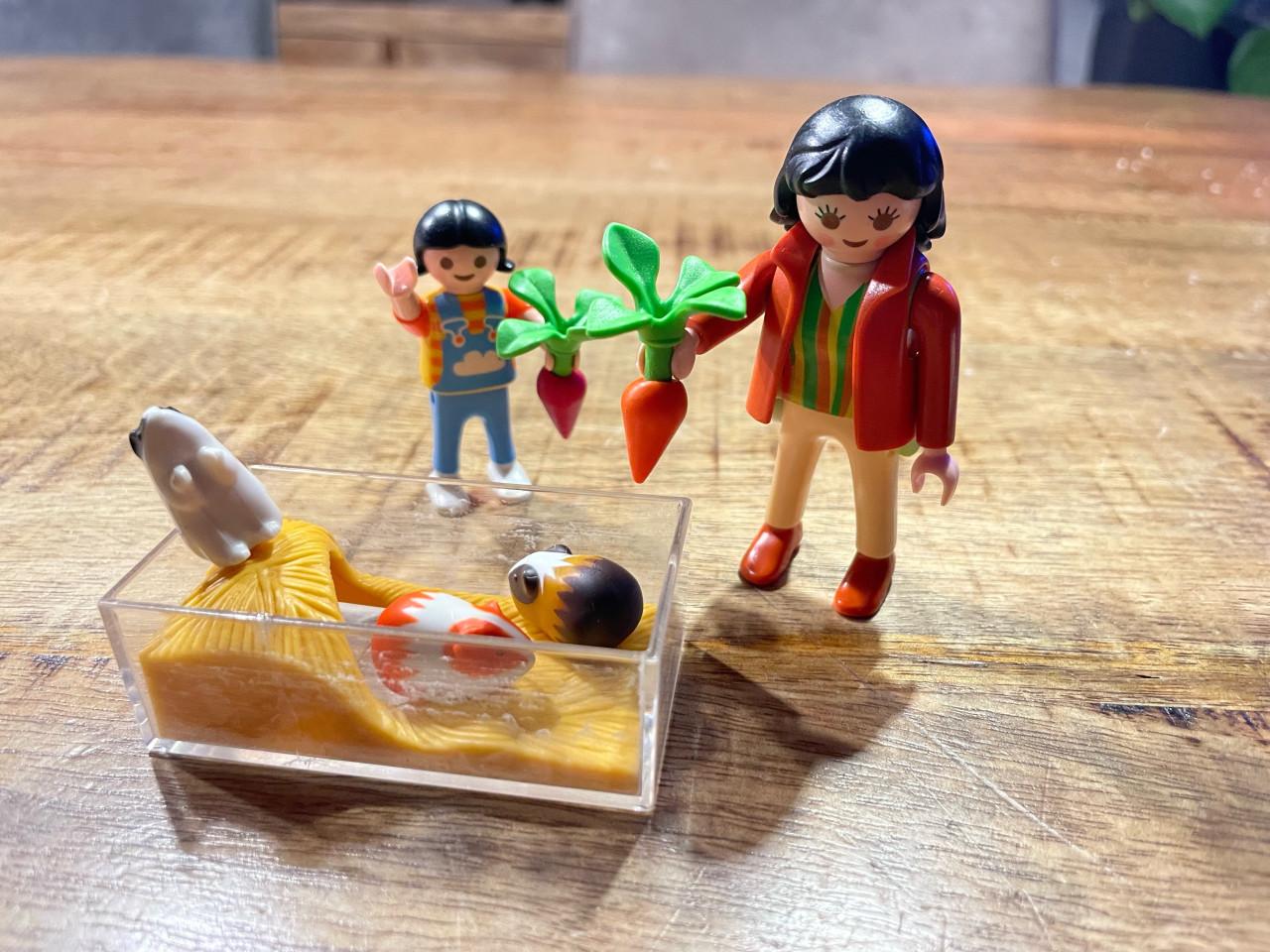 Kleine setjes playmobil