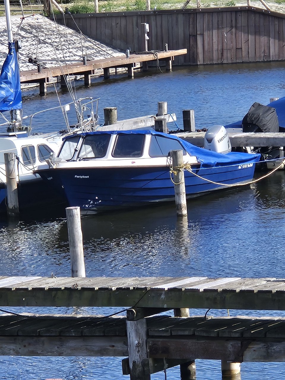 Rana 17