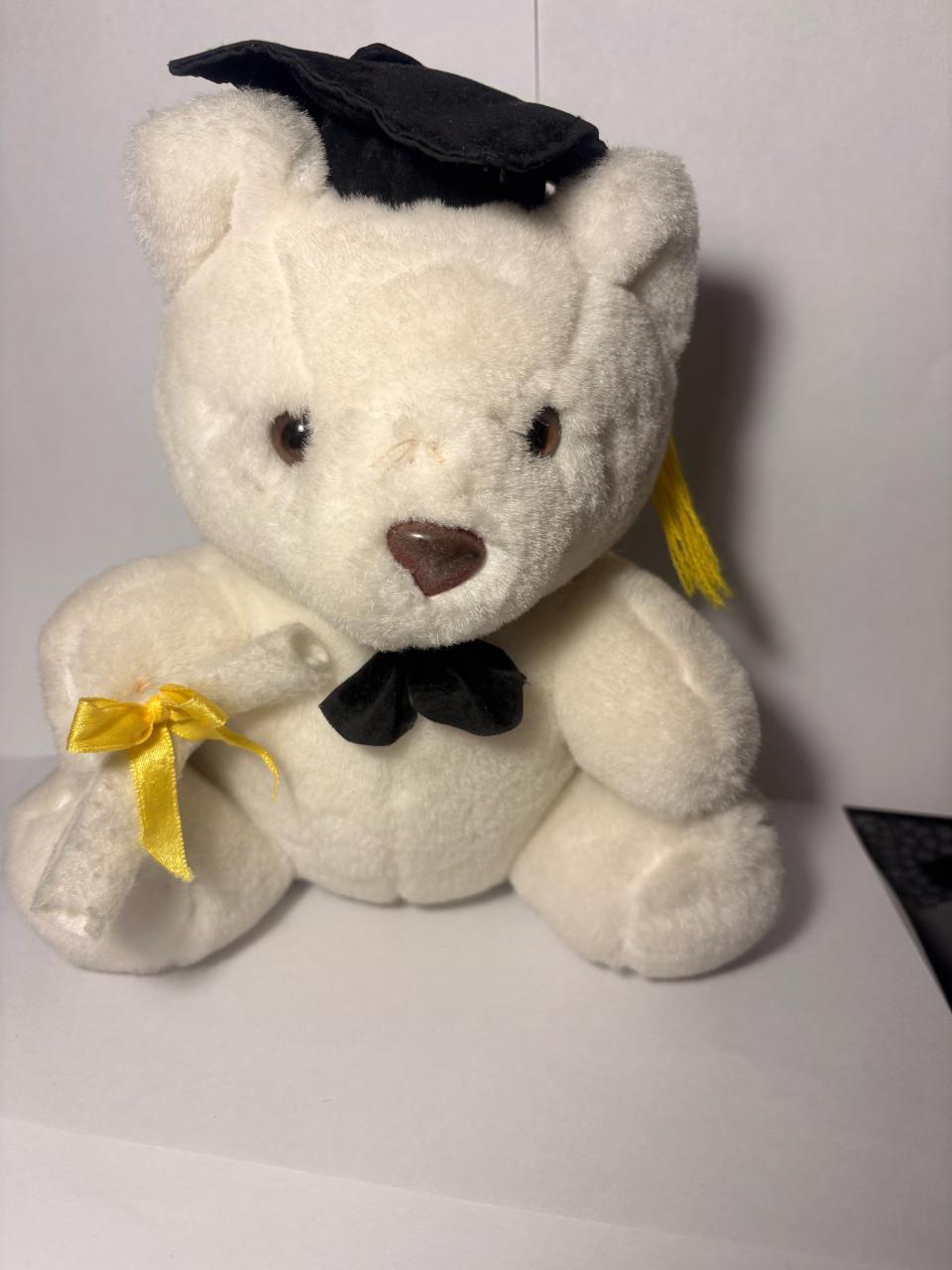 Geslaagde knuffelbeer