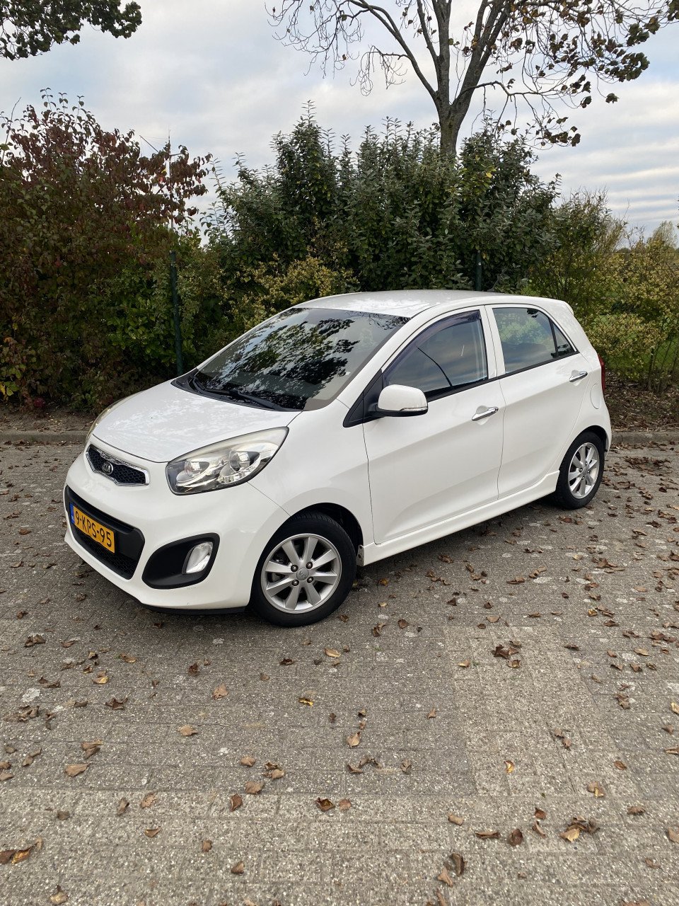 Te koop Kia Picanto