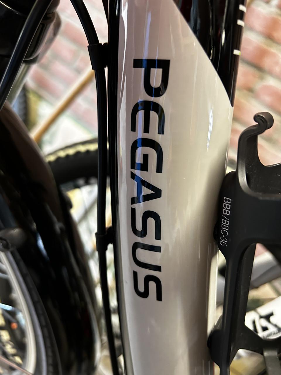 Meisjesfiets Pegasus Avanti 7 versnellingen 26 inch
