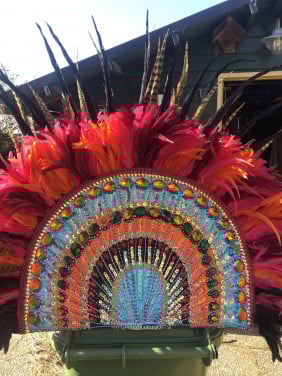 Zuid amerikaanse carnaval tooi
