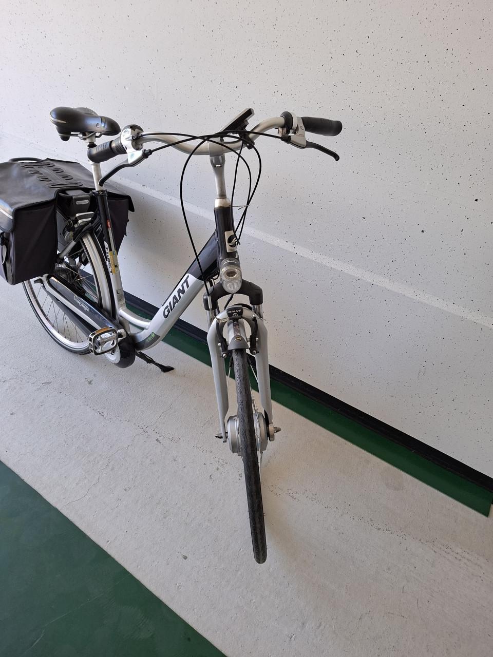 Giant Twist elektrische fiets | Framemaat L (55 cm)