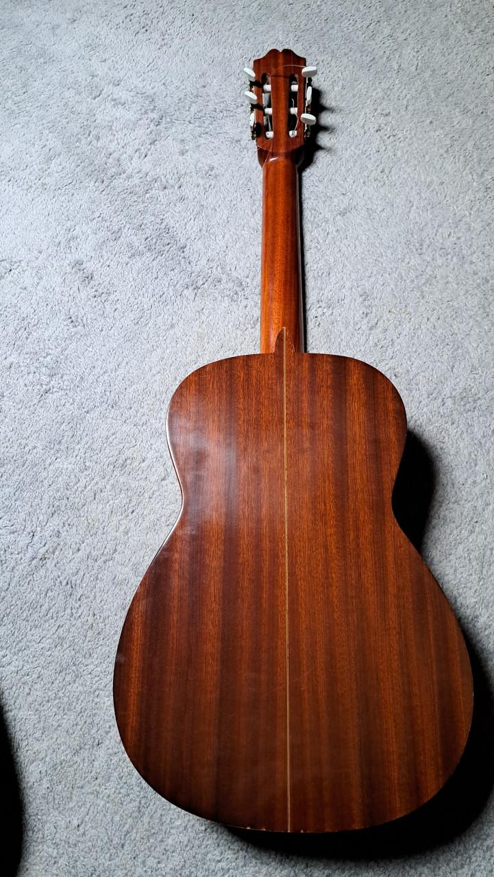 Gitaar