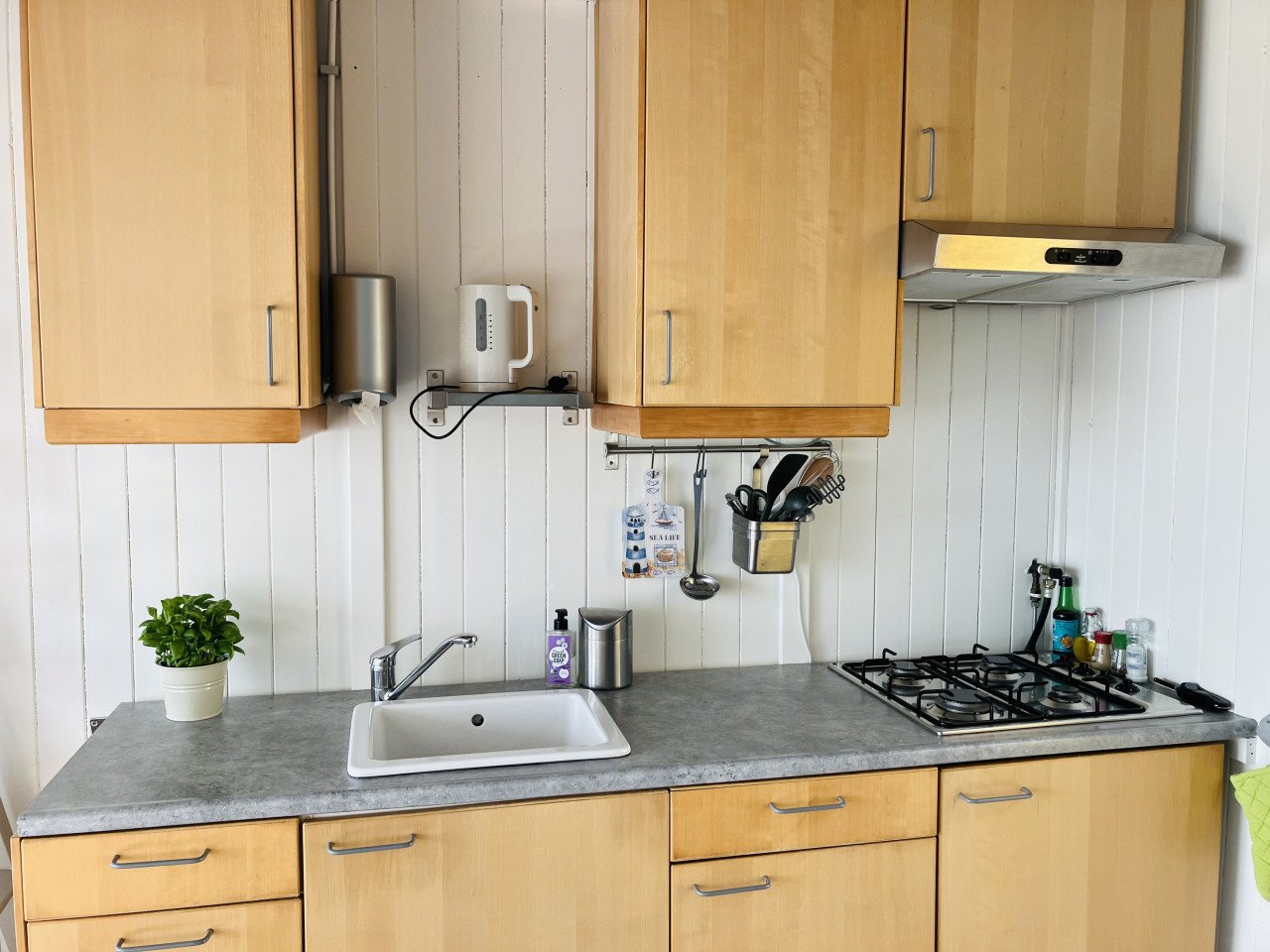 Slaapstrandhuisje te huur ☀️ vanaf € 100,-