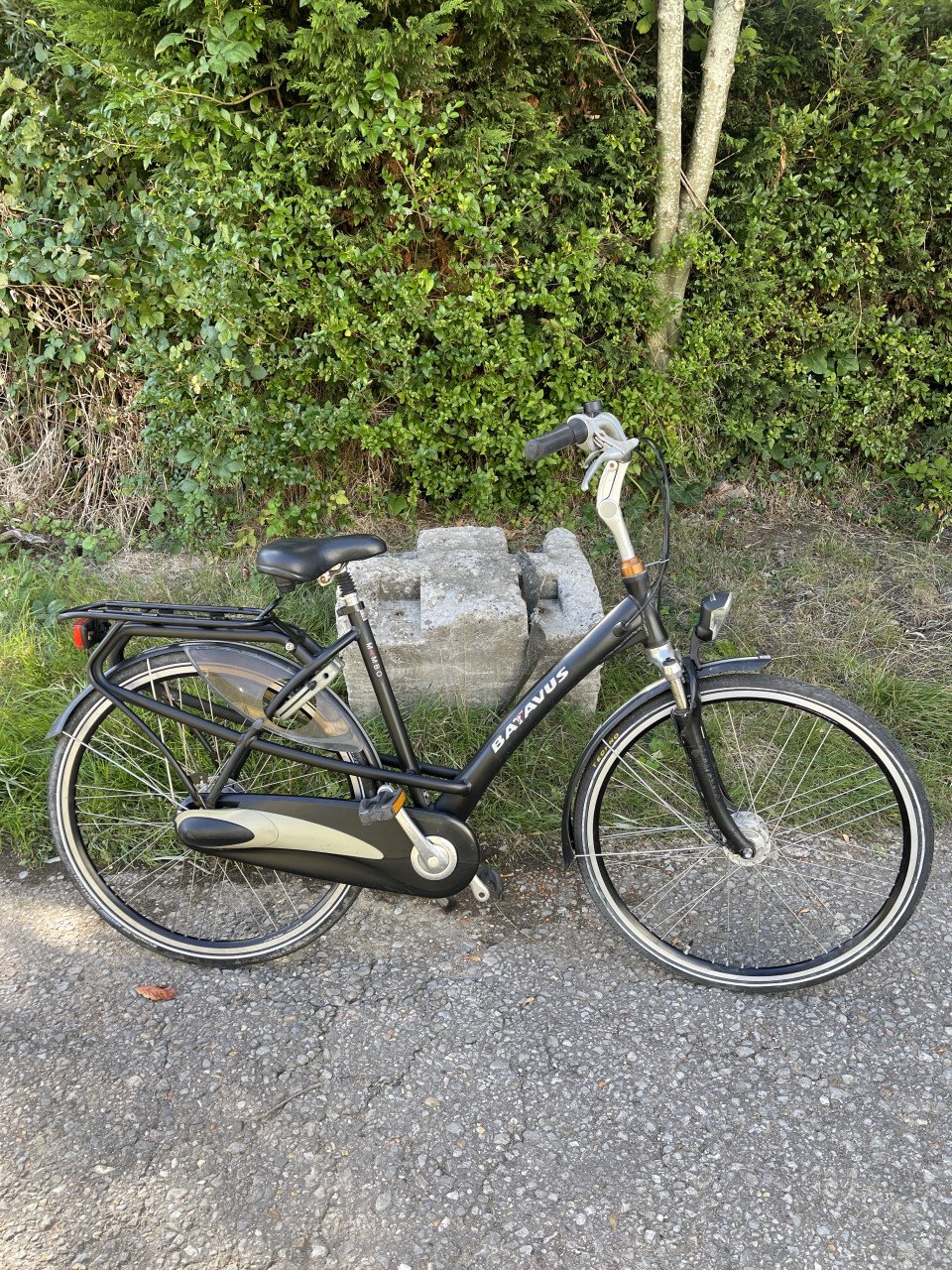 Tekoop Batavus mambo