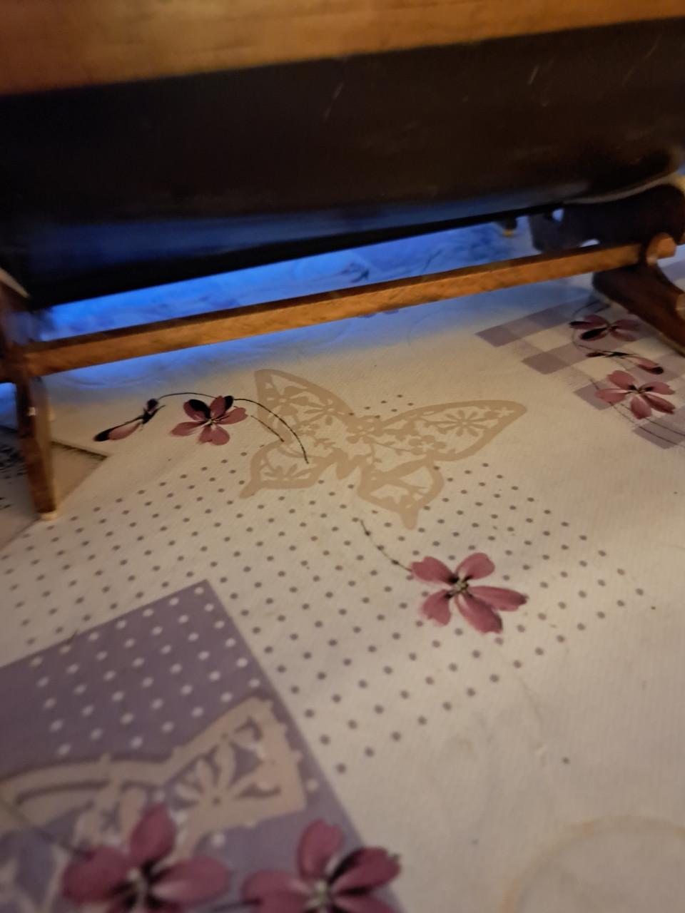 Bouwpakket de Toulonnaise