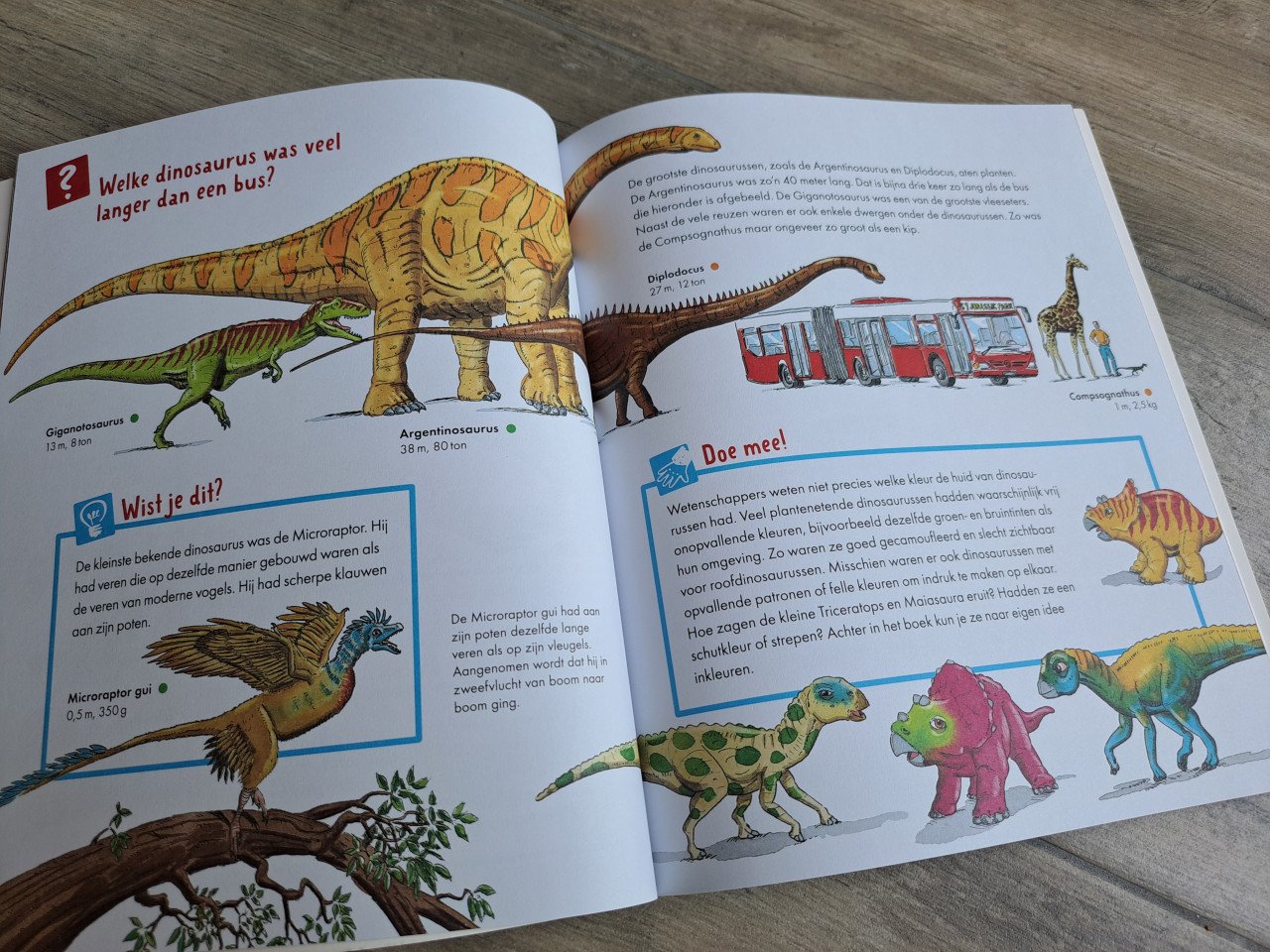 Dinosaurussen Weetjes Puzzels Stickers