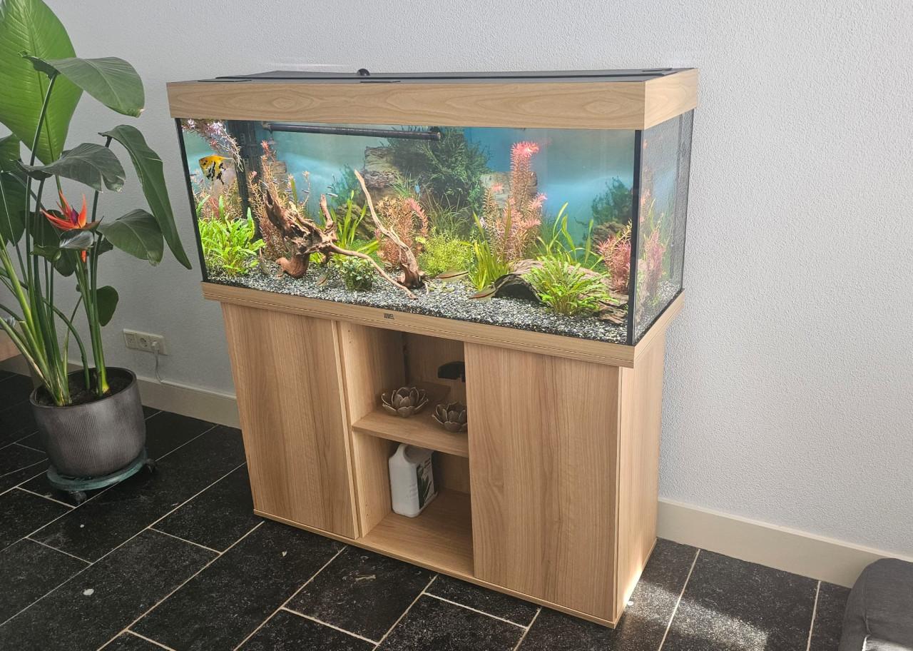 Compleet Juwel Rio 240 Aquarium