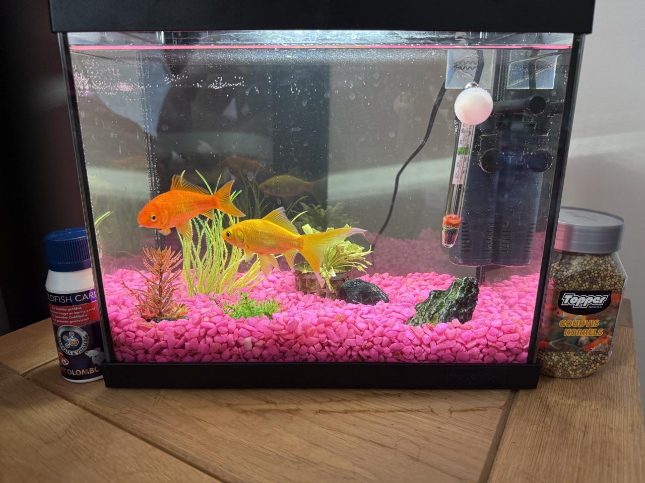 Aquarium