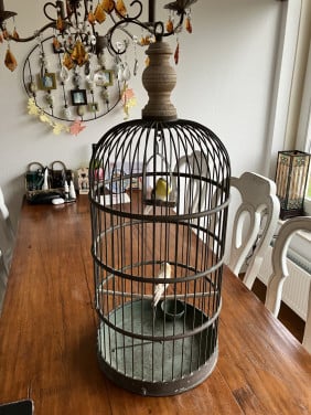 Vogelkooi decoratief