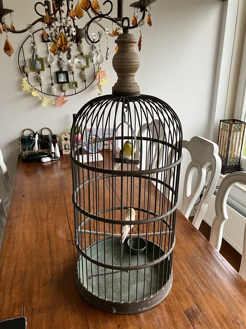 Vogelkooi decoratief