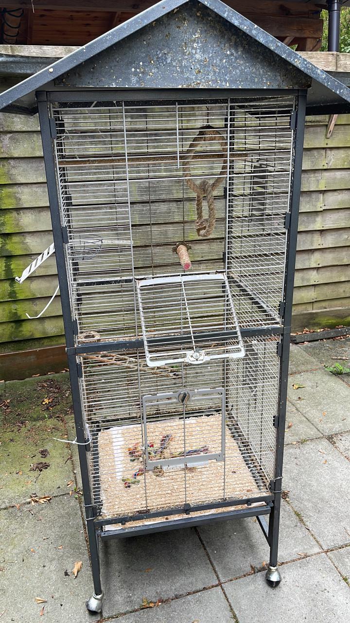Vogelkooi