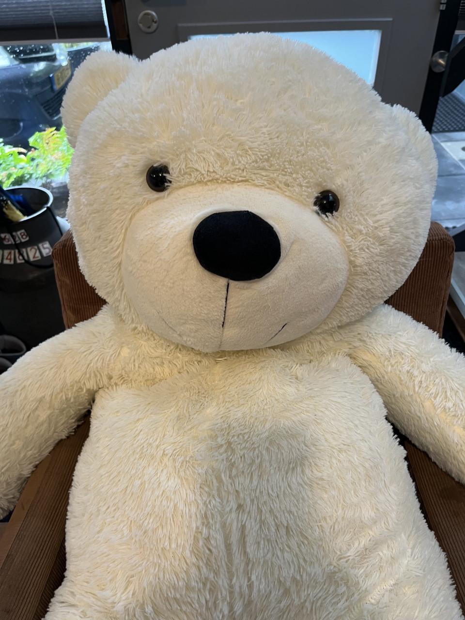 Grote witte knuffelbeer