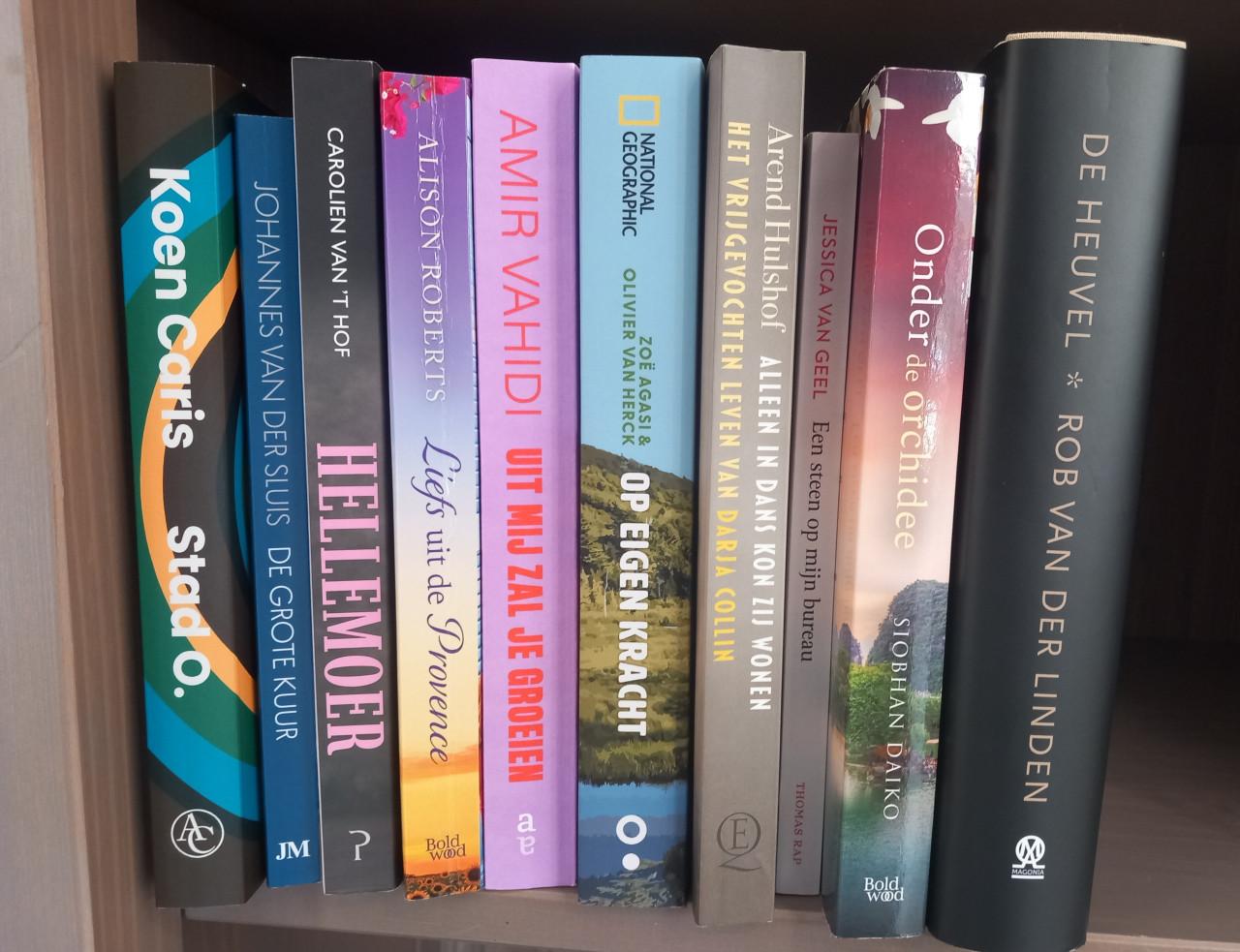 Boeken uit 2025 en 2026