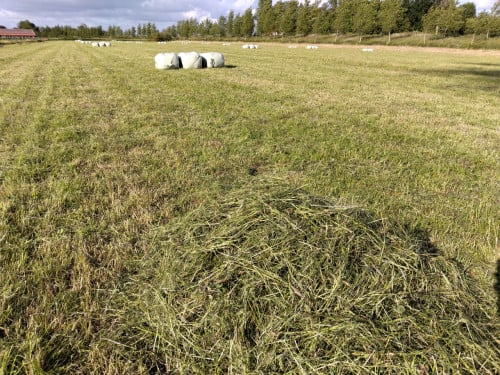 Gewikkelde kleine baaltjes kuil, droog geperst