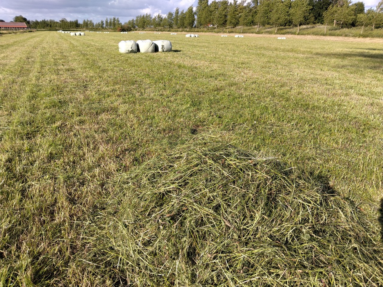 Gewikkelde kleine baaltjes kuil, droog geperst