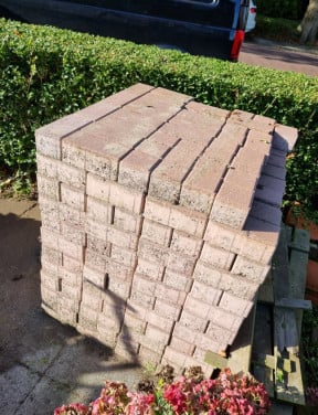 Klinkers heidepaars