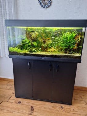 Tropisch aquarium geheel compleet