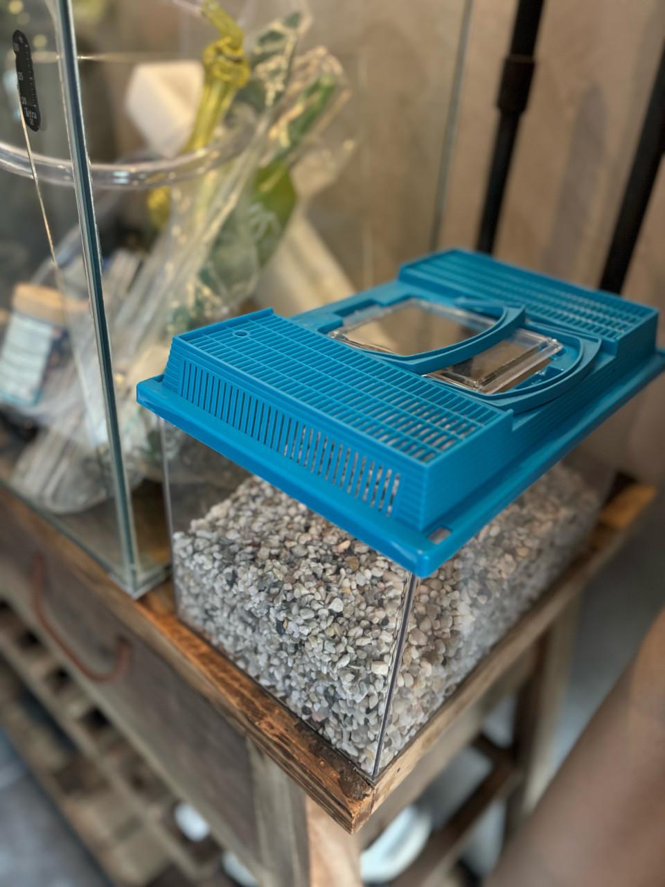 Aquariumbak met benodigdheden