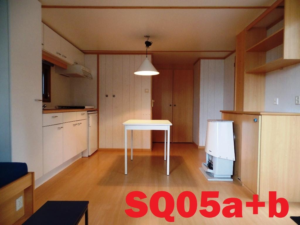 Degelijk Vroegop L-chalet met dubbel glas te koop