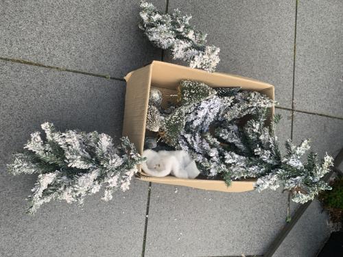 Decoratie voor kerstdorpen/ kerststukjes