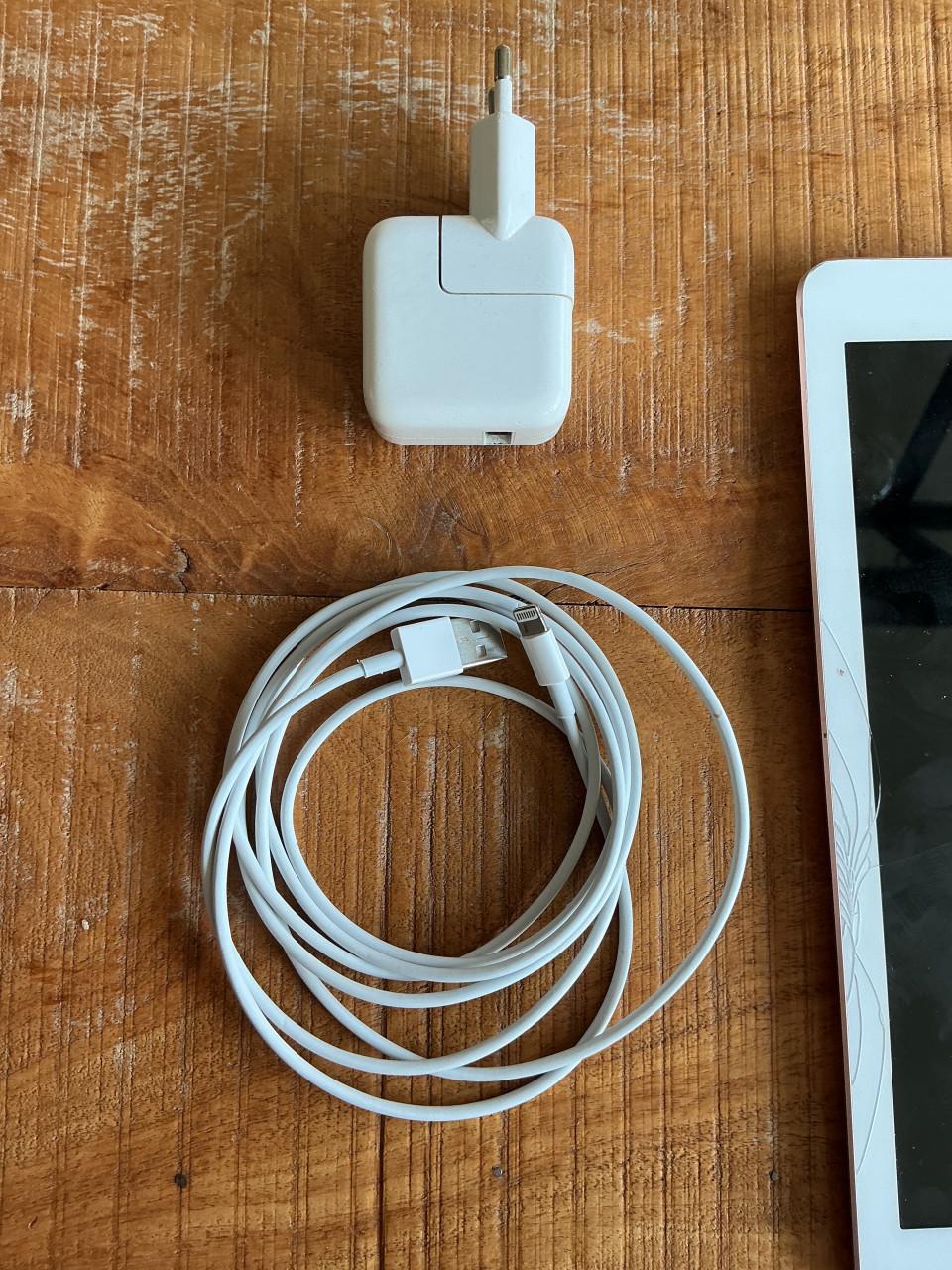Apple iPad rosé gold (6e generatie) met lader 128 GB