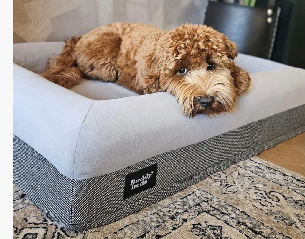 Hondenkussen Buddy Bed