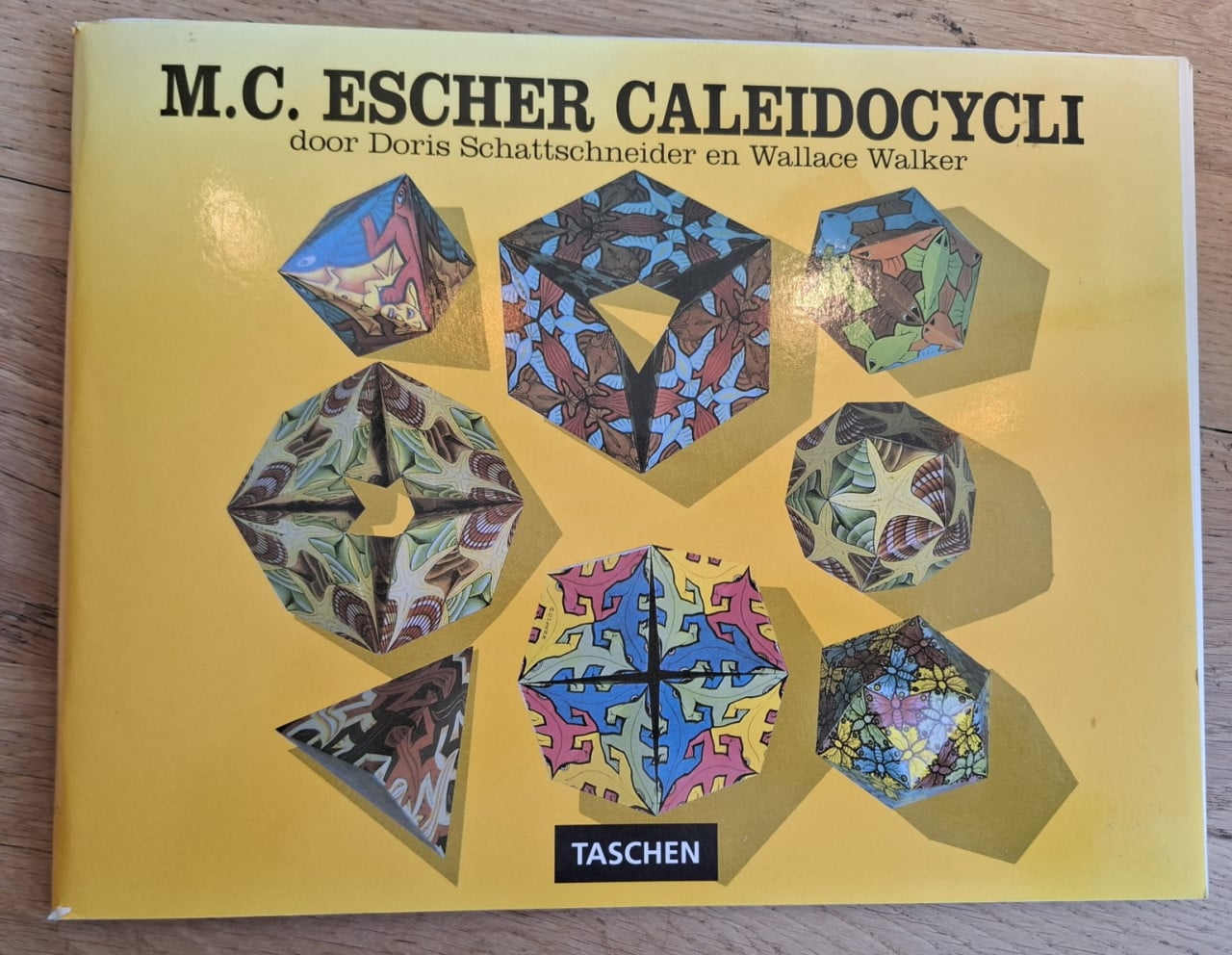 M.C. Escher Caleidocycli, door Doris Schattschneider, plus 12 werkbladen