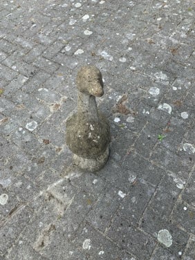 Sierbeeld