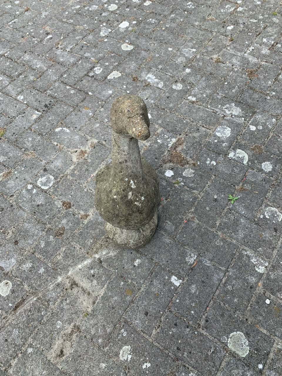 Sierbeeld