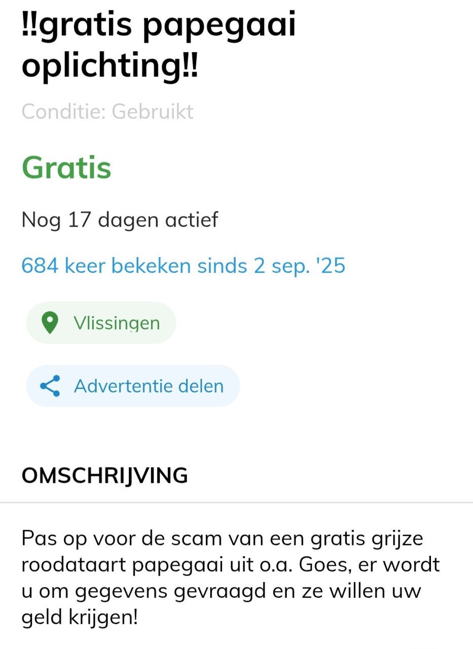 Pas op papegaai oplichting