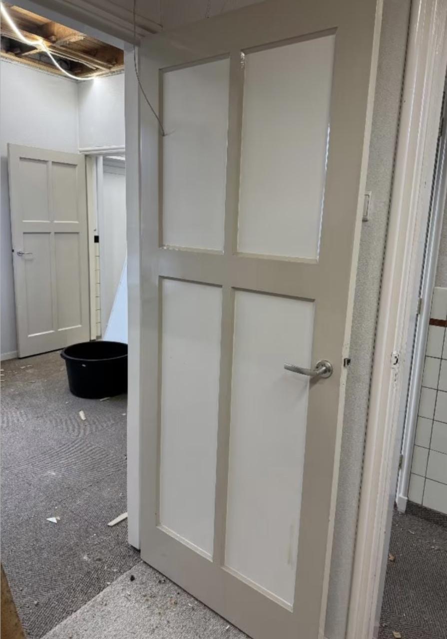 Paneeldeuren 13 stuks (203 bij 82,5)