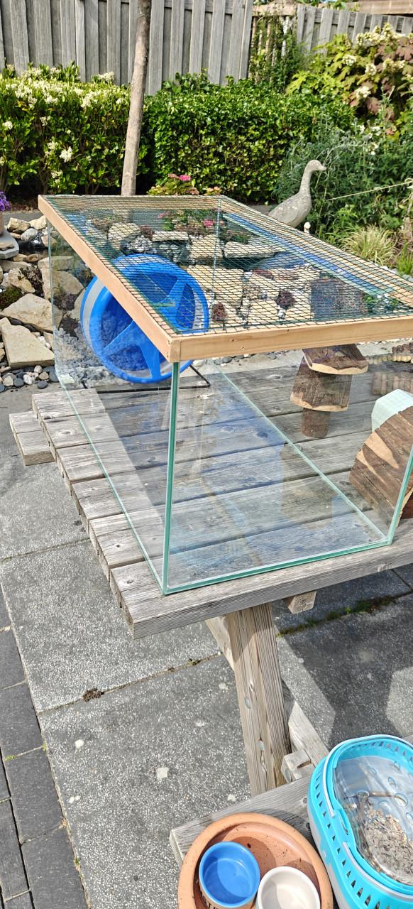 Hamster/muizen kooi glas