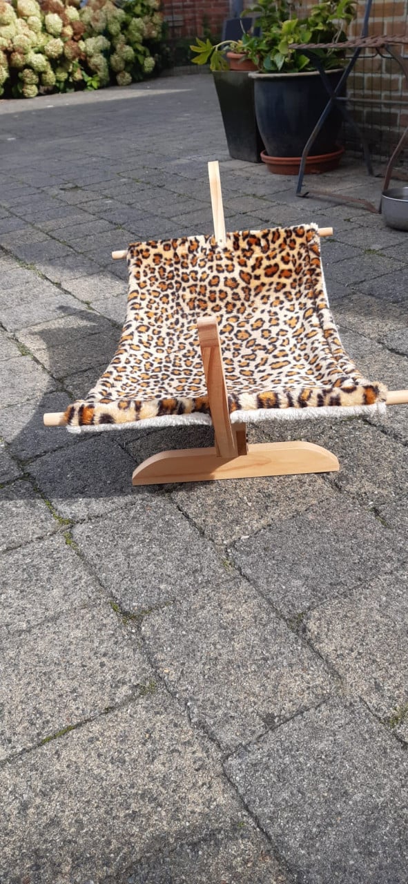 Hangmat katten
