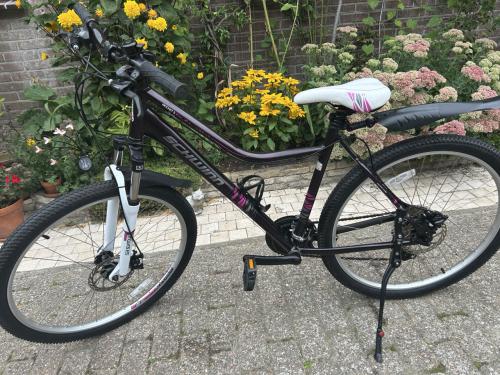 Mountainbike  Schwinn (dames) 26 inch, 21 speed, schijfremmen: zeer mooi.