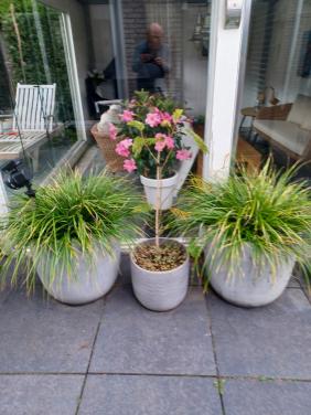 4 ronde stenen bloempotten 50 x50 cm