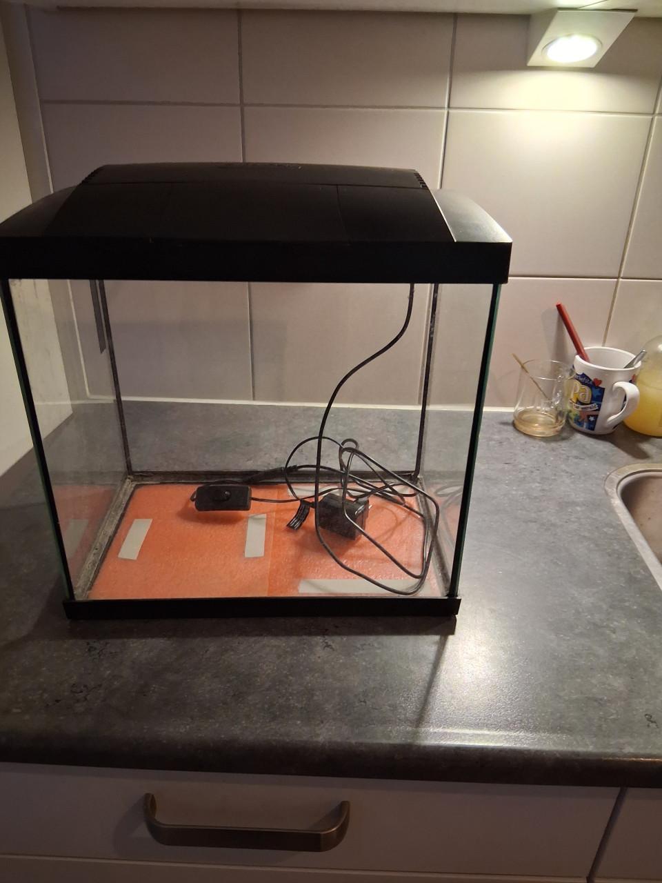 Tekoop aquarium en diversen