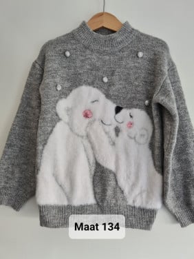 Grijze - witte ijsberen trui van Primark Maat 134