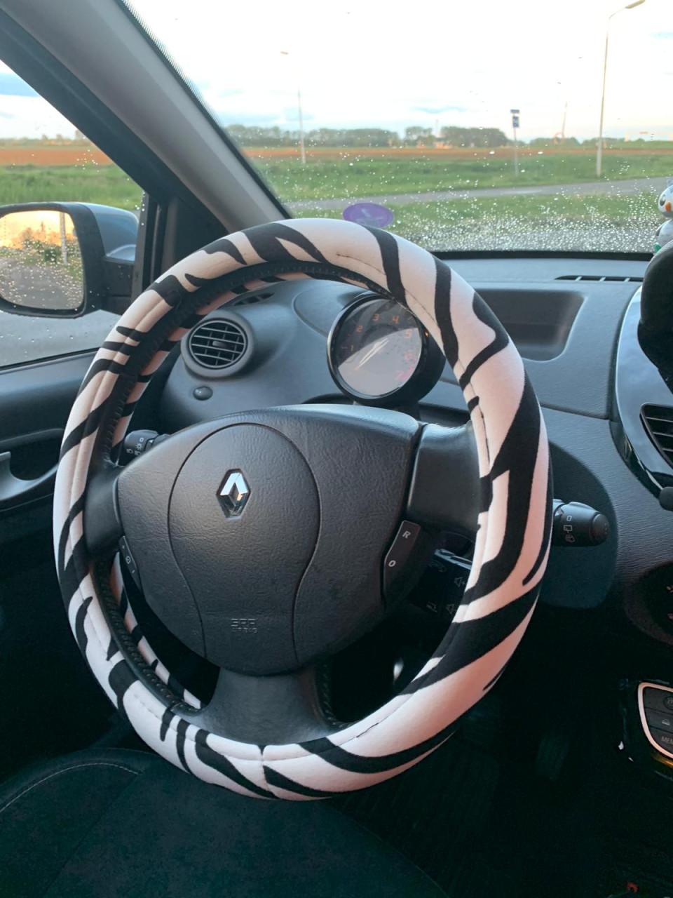 Mooie blauwe Renault Twingo!