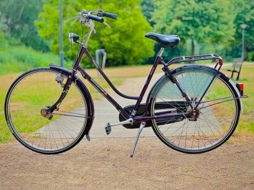 Damesfiets gazelle 28inch / 7 versnellingen