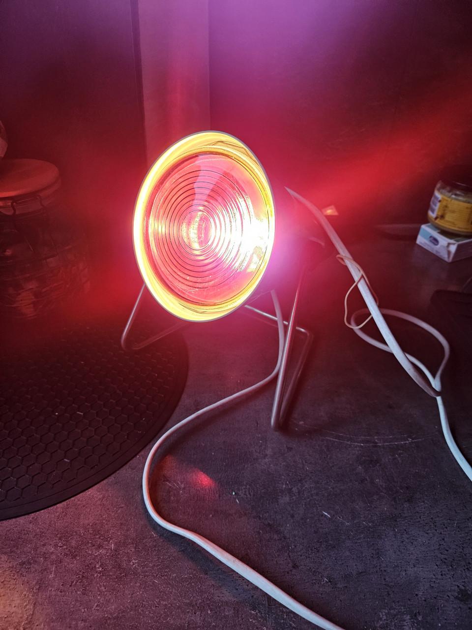 Zgan Philips Infraphil Infraroodlamp - Vintage Model