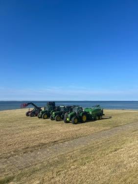 Te koop gevraagd, gras op stam en tarwe stro van land.