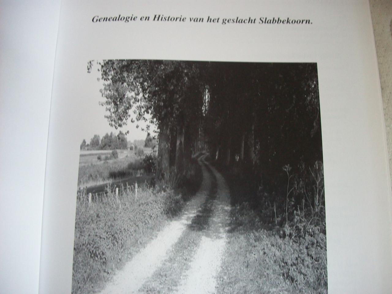 Genealogie en Historie van het geslacht Slabbekoorn vanaf 1550