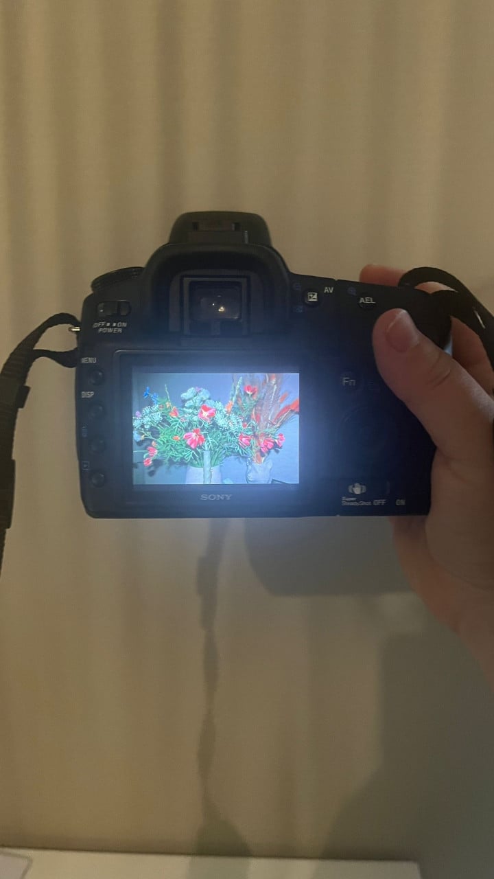 Sony A200 Camera