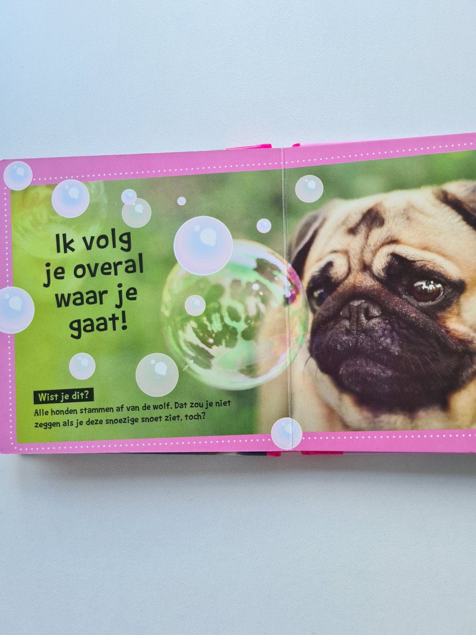 4 boekjes met dieren weetjes  samen €2,50