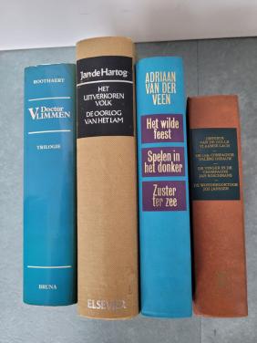 Pakket NL- en Vlaamse schrijvers